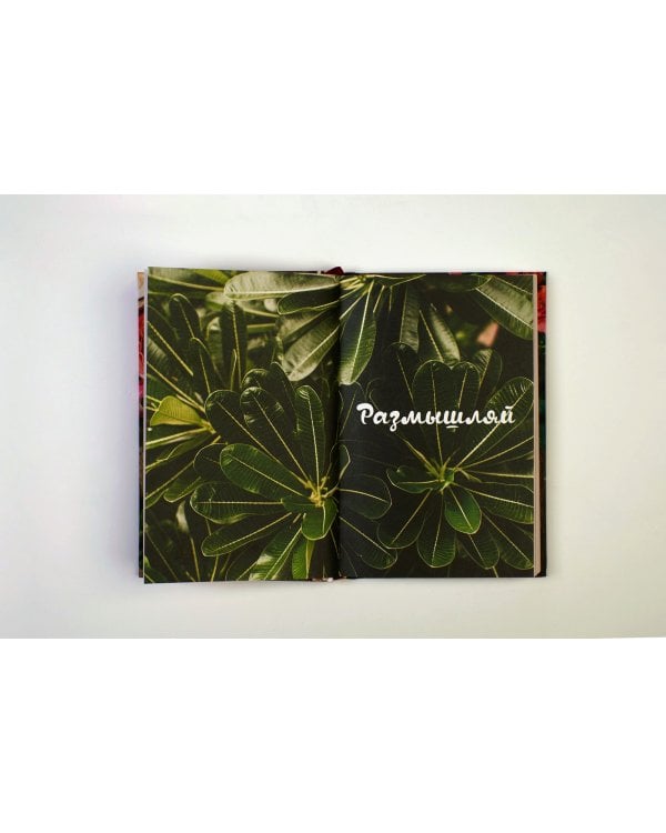 52 списка счастья, Дневник гармонии и радости