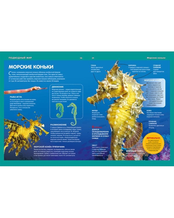 Животный мир морей и океанов. Детская энциклопедия