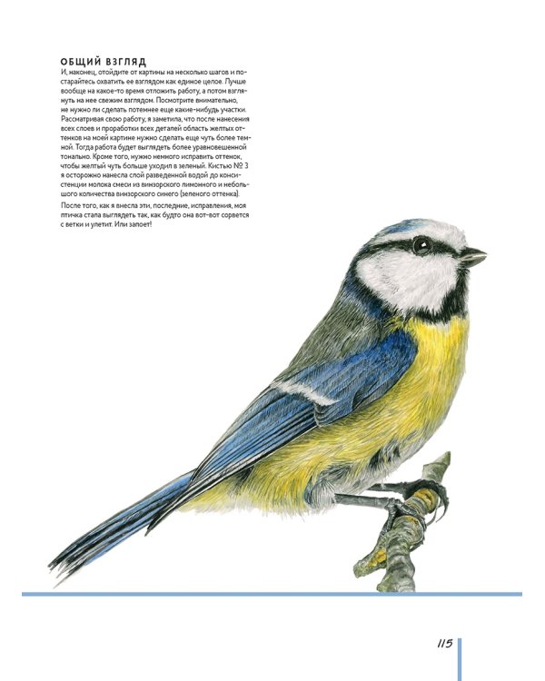 Волшебный мир Анны Мейсон.Рисуем природу.Все секреты реалистичной живописи