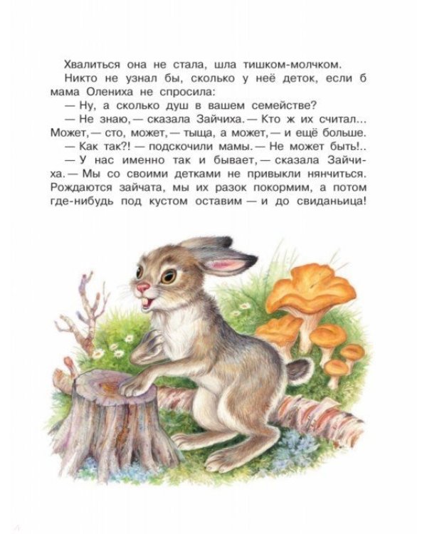 Лесные приключения