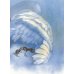 Карнавал животных. Сюита Камиля Сен-Санса (книга с диском и QR-кодом) (+ CD-ROM)