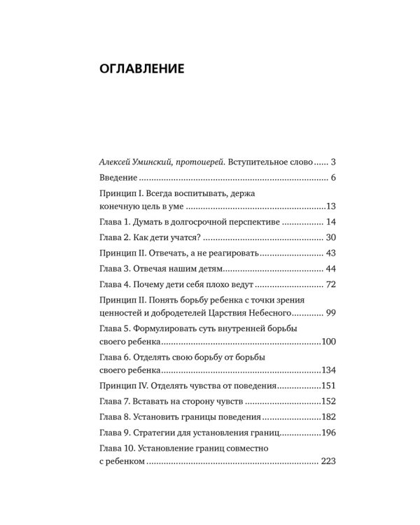 Дополнительное изображение книги «Икона и газонокосилка. Принципы воспитания»