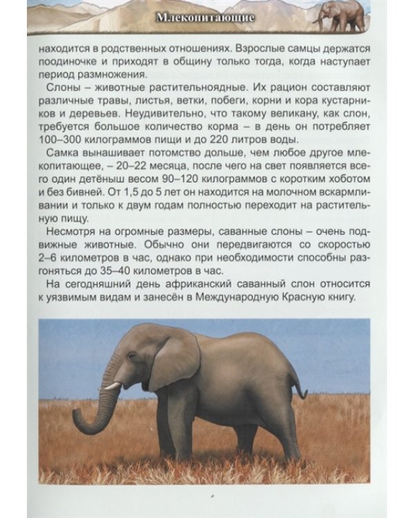 Гиганты животного мира