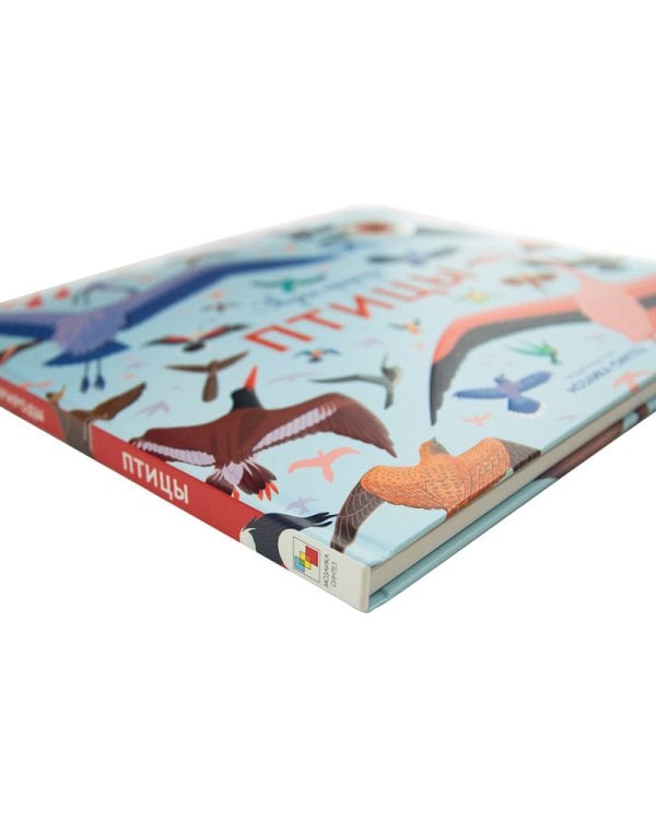 Звуки природы. Птицы