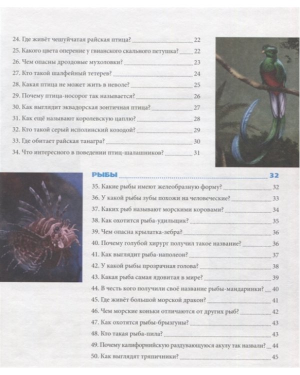 Удивительные животные