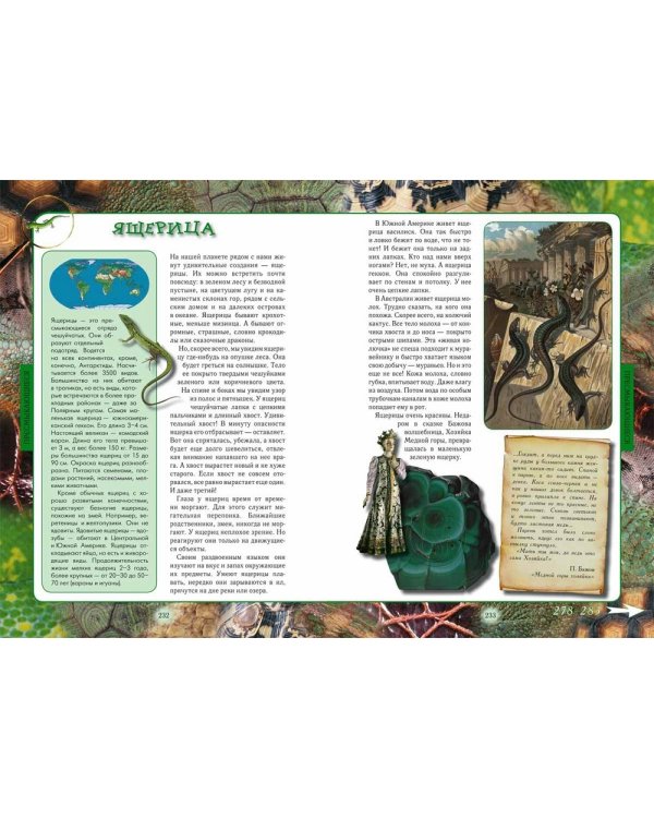 Животный мир нашей планеты