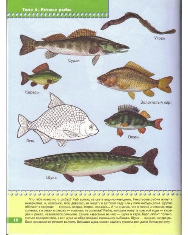 Я изучаю природу