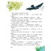 Дополнительное изображение книги «Лесные домишки»