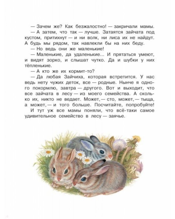 Лесные приключения