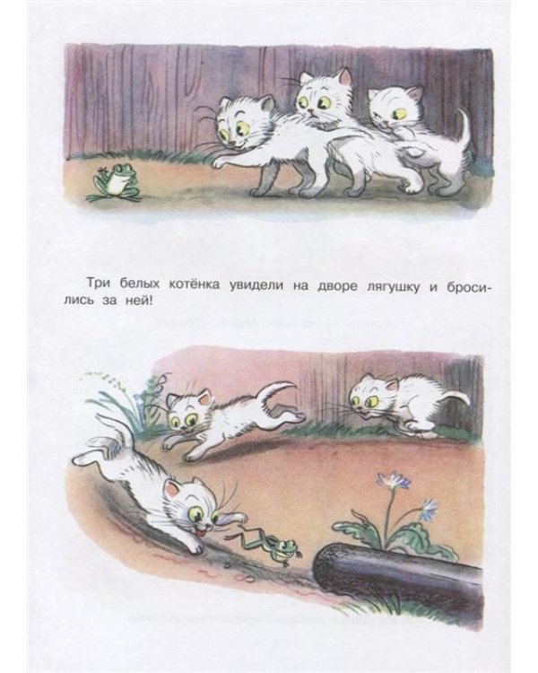 Лучшие стихи и сказки