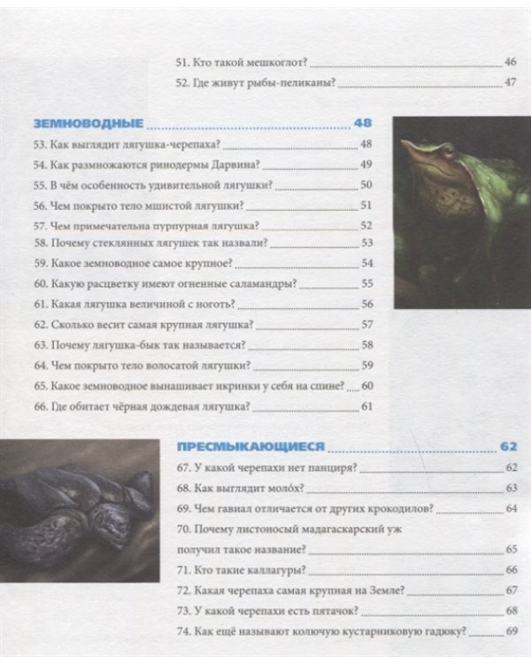 Удивительные животные