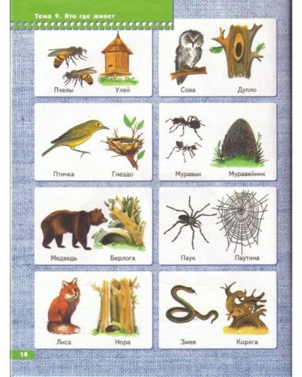 Я изучаю природу