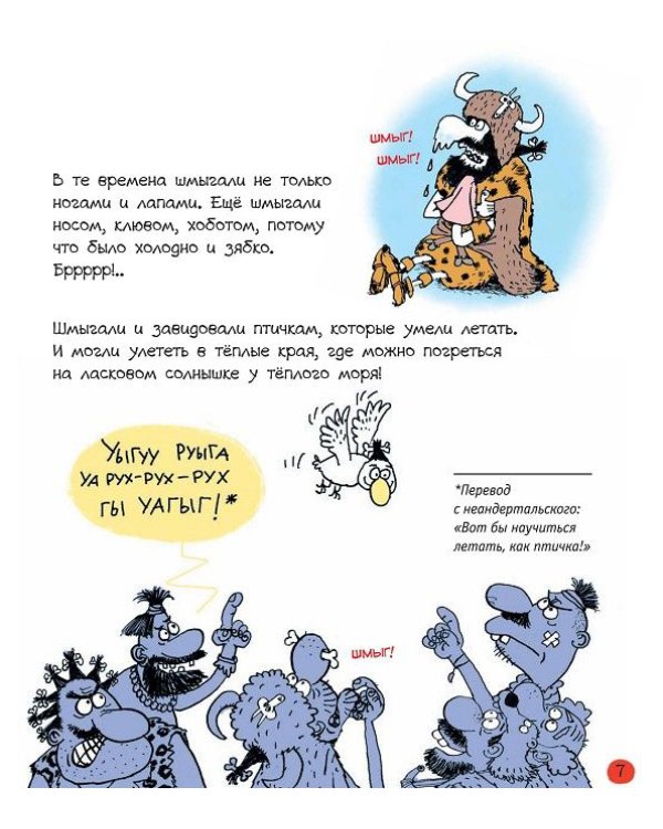 Кот Помпон и маленькие, но гордые птички