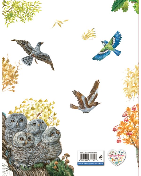 Дополнительное изображение книги «Лесные домишки»