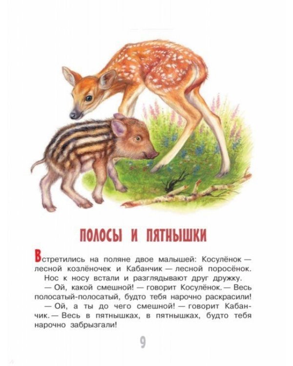 Лесные приключения