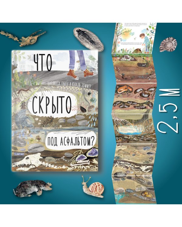 Что скрыто под асфальтом?