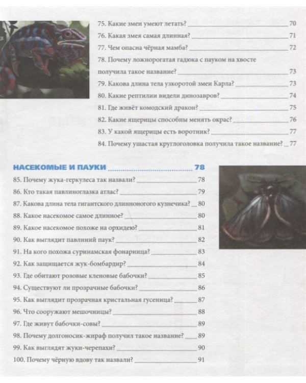Удивительные животные