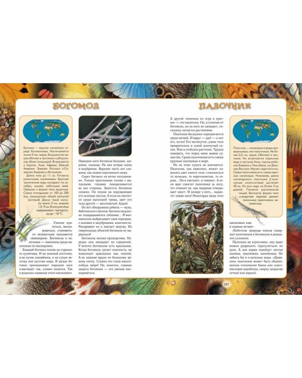 Животный мир нашей планеты