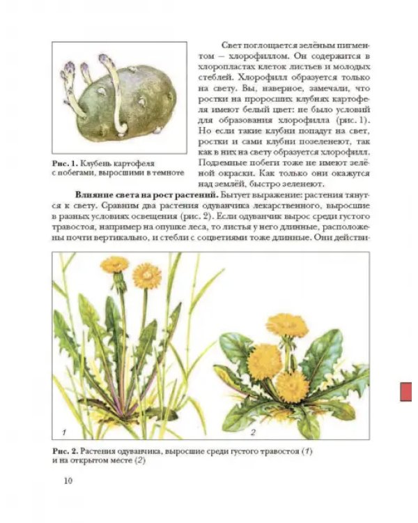 Экология. Экология растений. 6 класс. Учебник