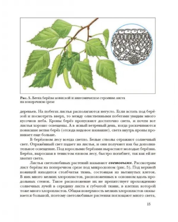 Экология. Экология растений. 6 класс. Учебник