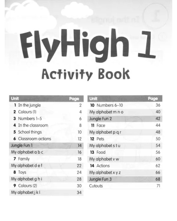 Fly High. Level 1. Activity Book 1