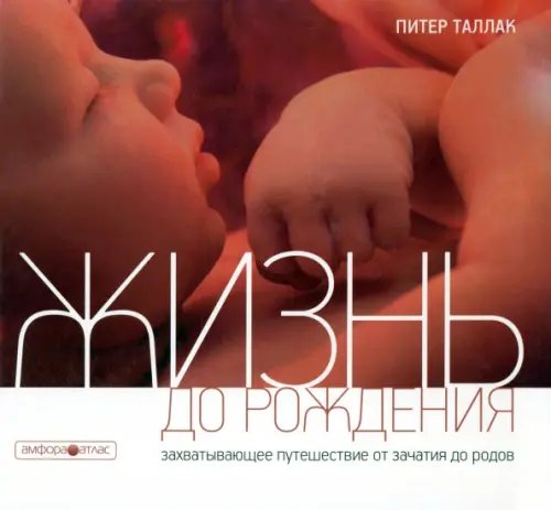 Амфора-Атлас Жизнь до рождения