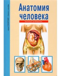 Анатомия человека