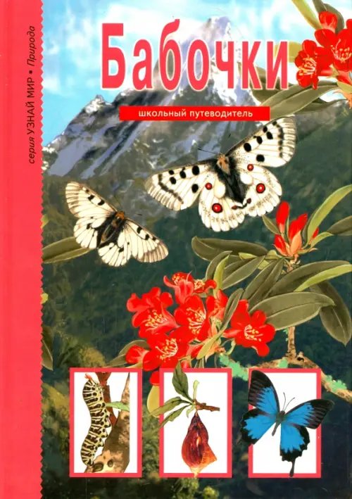Узнай мир Бабочки