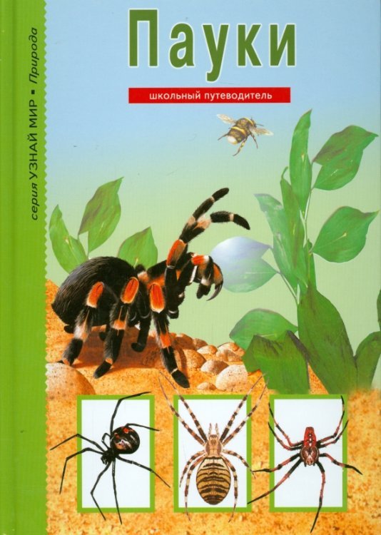 Узнай мир Пауки, клещи, скорпионы