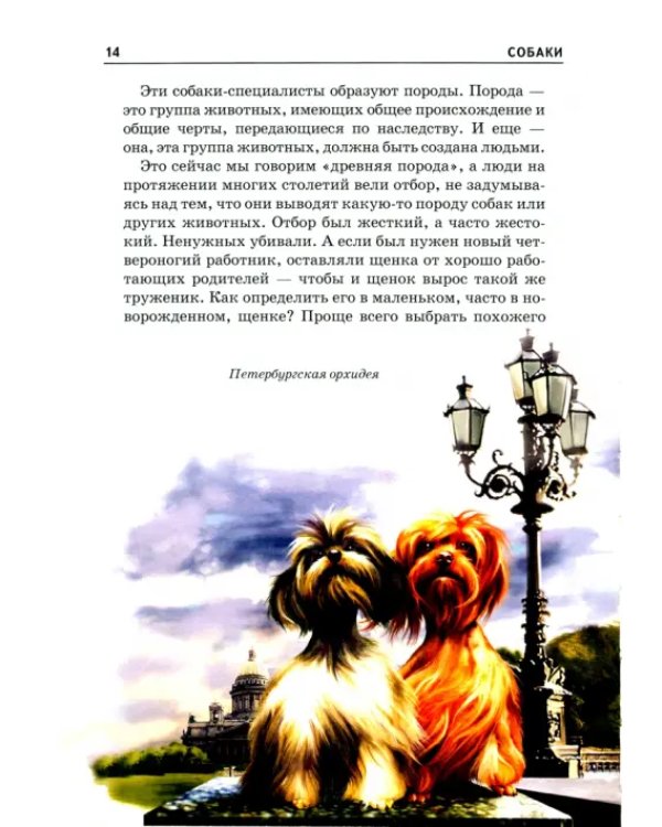 Собаки