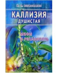 Каллизия душистая: мифы и реальность