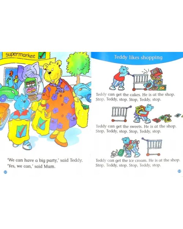 Party for Teddy Big Book