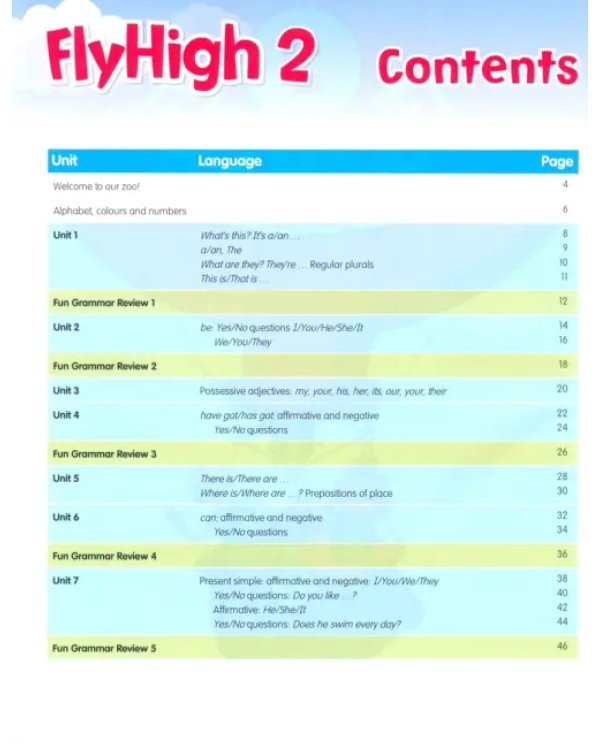 Fly High. Level 2. Fun Grammar Pupil's Book (+CD) (+ Audio CD)