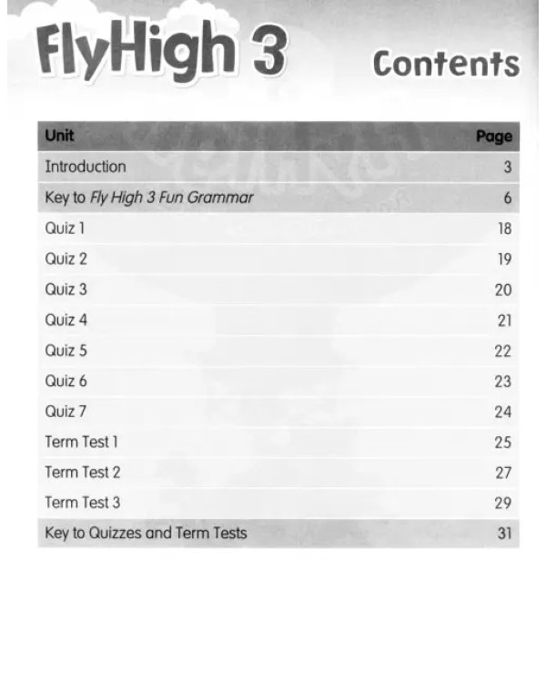 Fly High. Level 3. Fun Grammar Teacher's Guide (with Answer Key)
