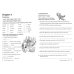 Pinocchio. Workbook