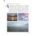 Изобразительное искусство. 3 класс. Учебник. ФГОС