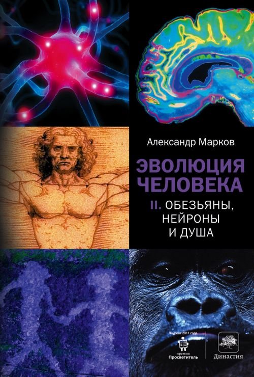 Династия Эволюция человека. В 2 книгах. Книга 2. Обезьяны, нейроны и душа
