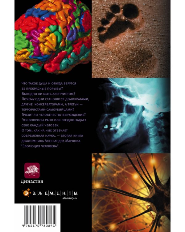Эволюция человека. В 2 книгах. Книга 2. Обезьяны, нейроны и душа