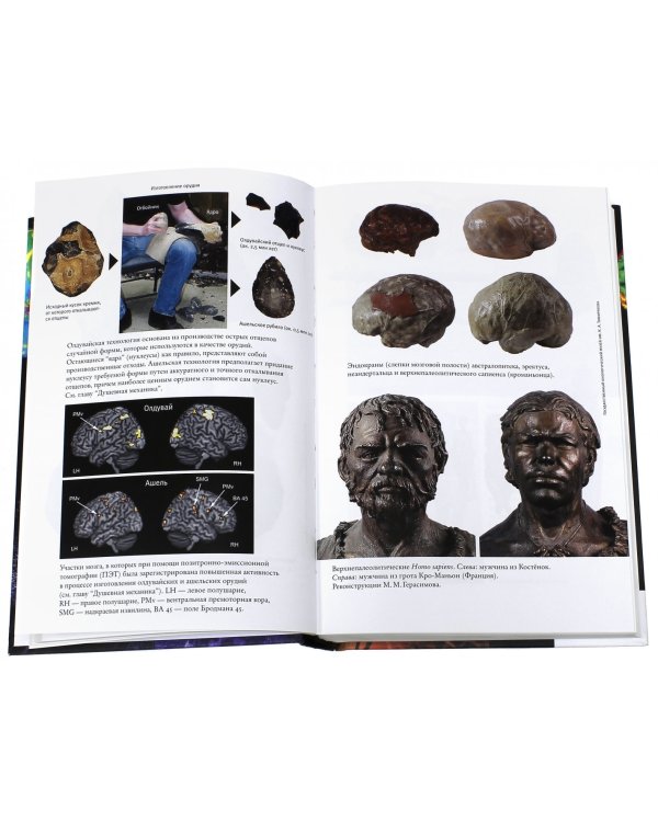 Эволюция человека. В 2 книгах. Книга 2. Обезьяны, нейроны и душа