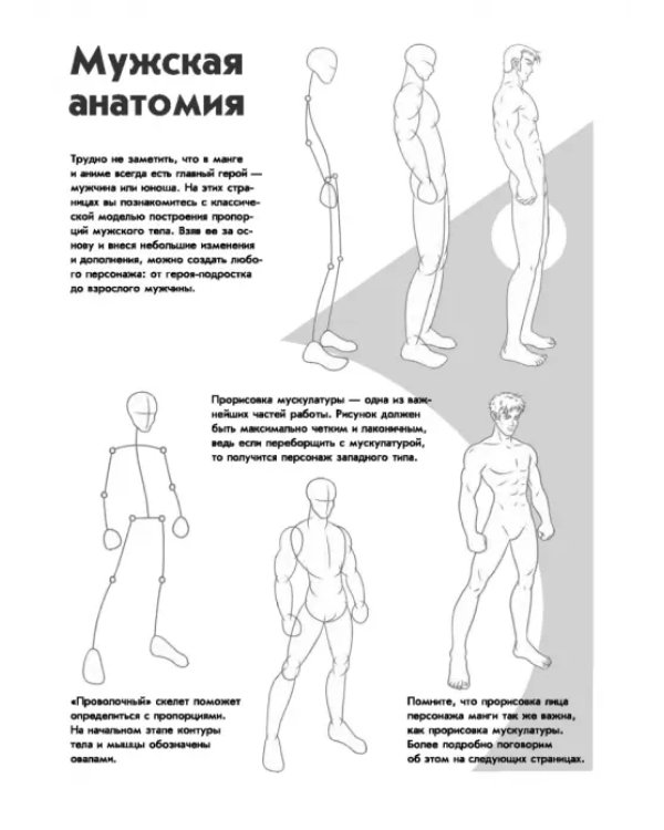 Манга-мания. Юноши и мужчины