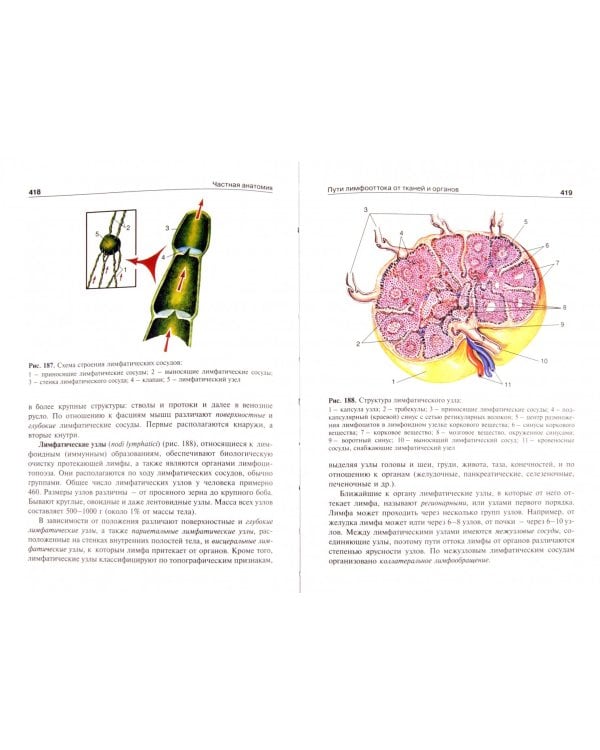 Анатомия человека. В 2-х томах. Том 1 (+CD)