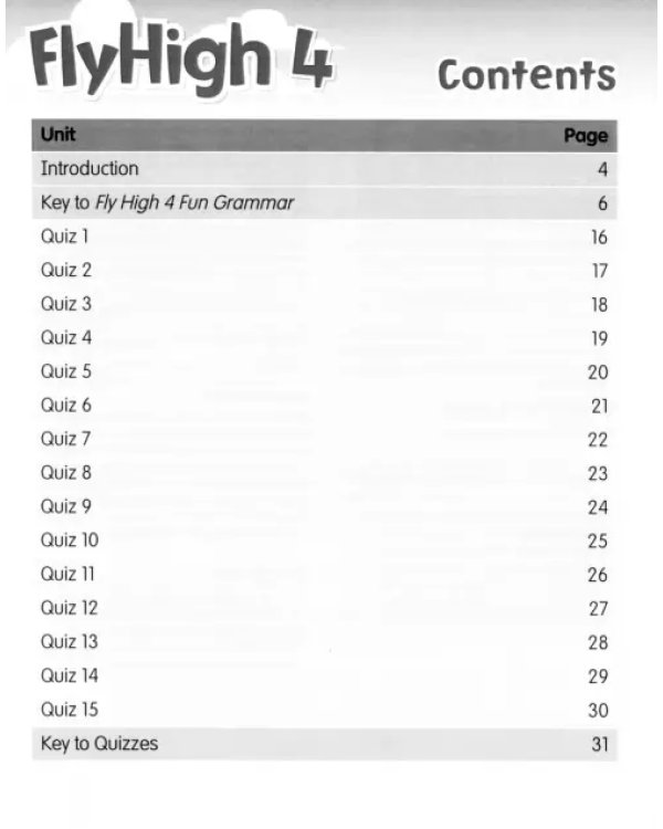 Fly High. Level 4. Fun Grammar Teacher's Guide (with Answer Key)