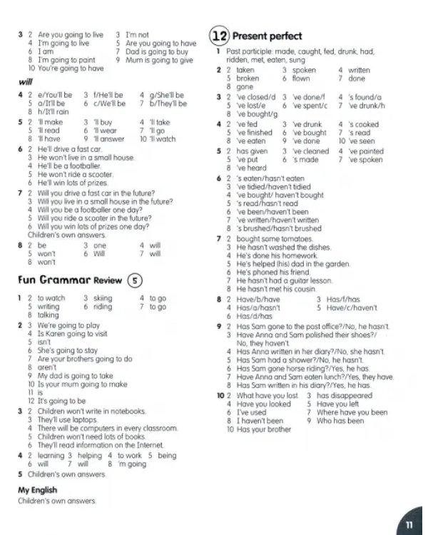 Fly High. Level 4. Fun Grammar Teacher's Guide (with Answer Key)