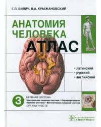 Атлас анатомии человека. В 3-х томах. Том 3