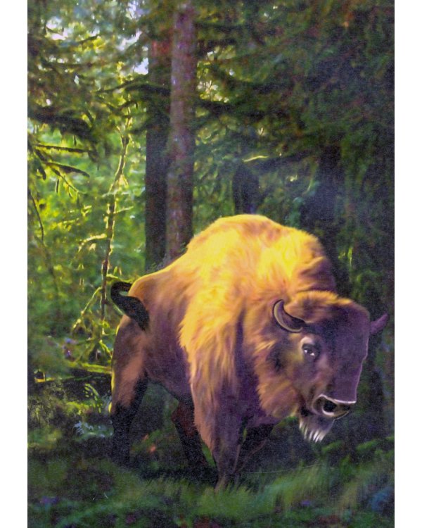 Животные из Красной книги России