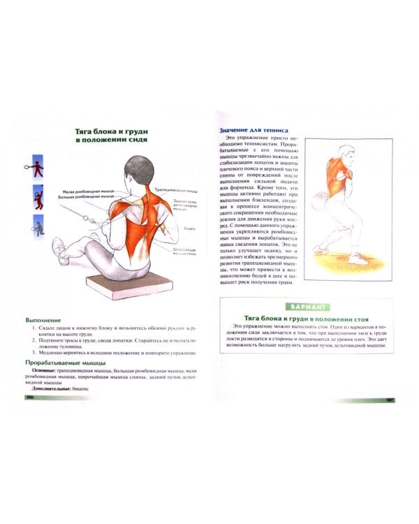 Анатомия тенниса