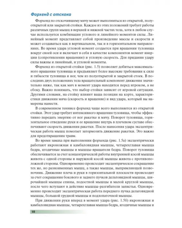 Анатомия тенниса