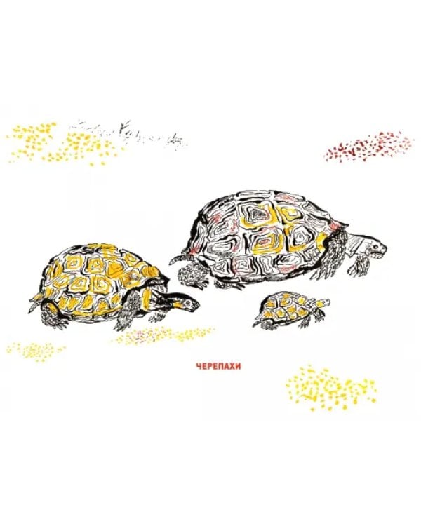 Рисуем зверей. Уроки Никиты Чарушина