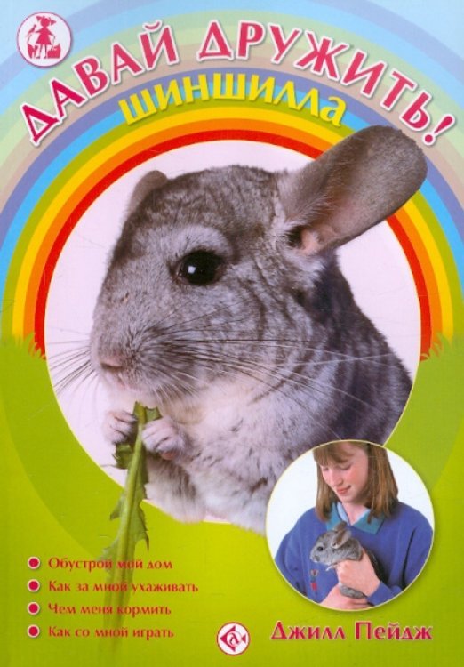 Давай дружить! Шиншилла