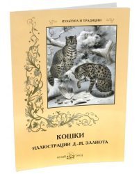 Кошки